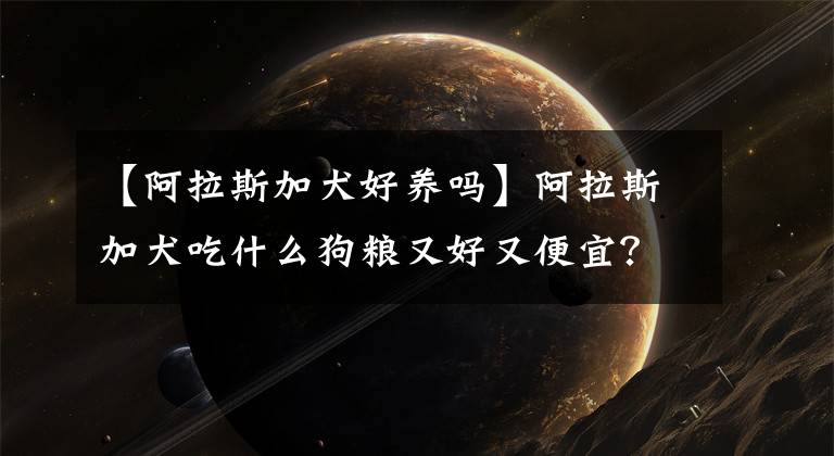 【阿拉斯加犬好養(yǎng)嗎】阿拉斯加犬吃什么狗糧又好又便宜？