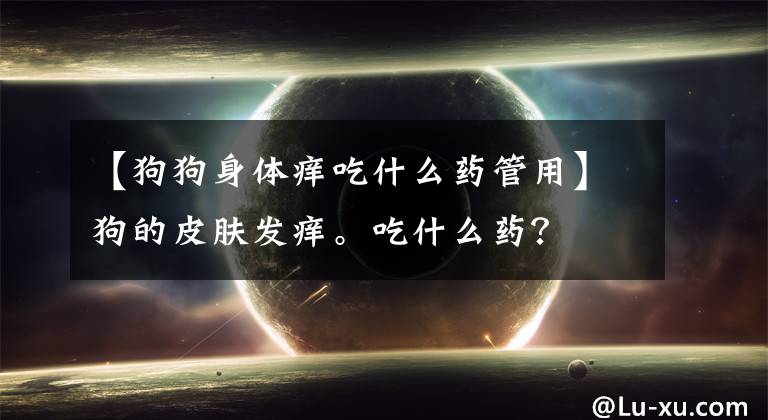 【狗狗身體癢吃什么藥管用】狗的皮膚發(fā)癢。吃什么藥？