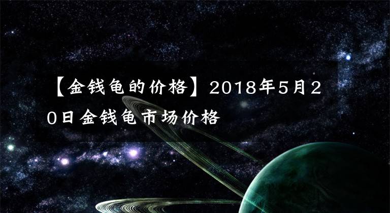 【金錢龜?shù)膬r格】2018年5月20日金錢龜市場價格