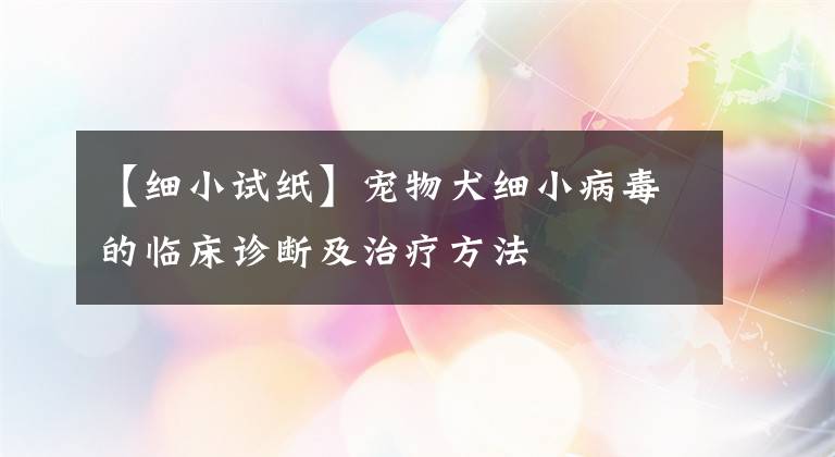 【細(xì)小試紙】寵物犬細(xì)小病毒的臨床診斷及治療方法