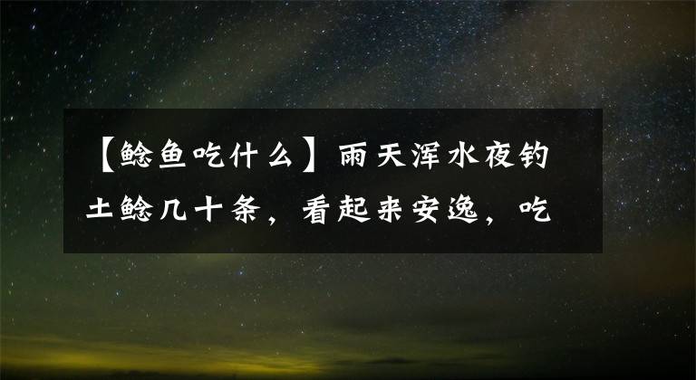 【鯰魚吃什么】雨天渾水夜釣土鯰幾十條，看起來安逸，吃起來十分彈嘴