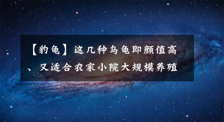 【豹龜】這幾種烏龜即顏值高、又適合農(nóng)家小院大規(guī)模養(yǎng)殖