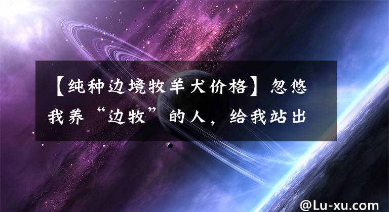 【純種邊境牧羊犬價格】忽悠我養(yǎng)“邊牧”的人，給我站出來