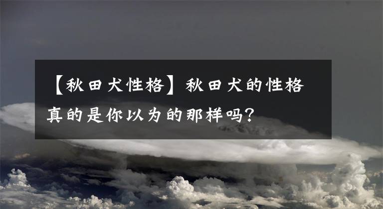 【秋田犬性格】秋田犬的性格真的是你以為的那樣嗎？