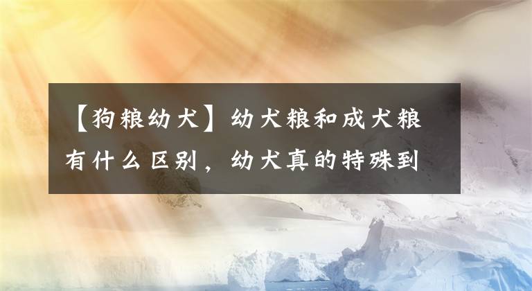 【狗糧幼犬】幼犬糧和成犬糧有什么區(qū)別，幼犬真的特殊到需要不同的狗糧嗎？