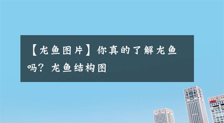 【龍魚圖片】你真的了解龍魚嗎？龍魚結(jié)構(gòu)圖