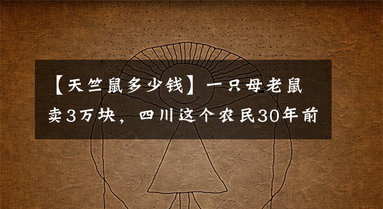 【天竺鼠多少錢】一只母老鼠賣3萬塊，四川這個農(nóng)民30年前，是怎樣騙幾萬家庭的？