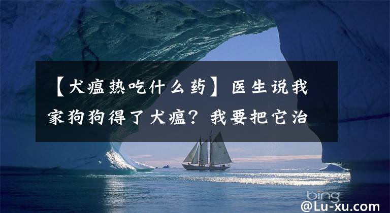 【犬瘟熱吃什么藥】醫(yī)生說我家狗狗得了犬瘟？我要把它治好！