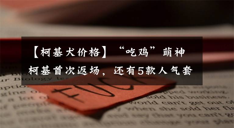 【柯基犬價格】“吃雞”萌神柯基首次返場，還有5款人氣套裝，這回能抽折扣