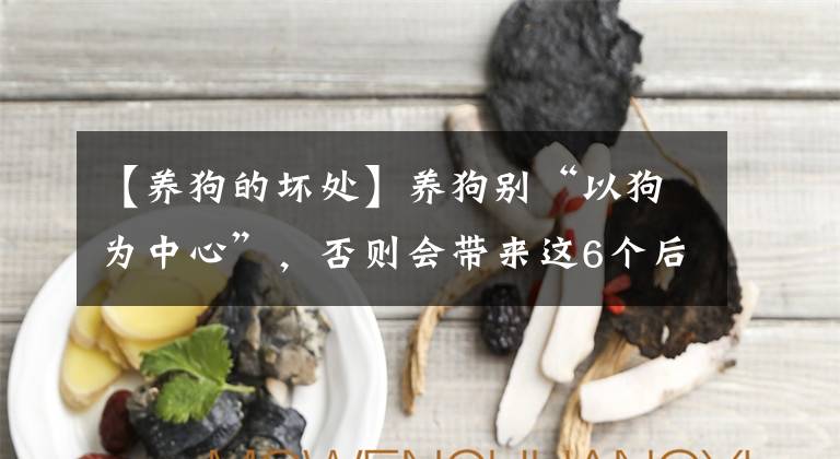 【養(yǎng)狗的壞處】養(yǎng)狗別“以狗為中心”，否則會帶來這6個后果，寵主一定注意