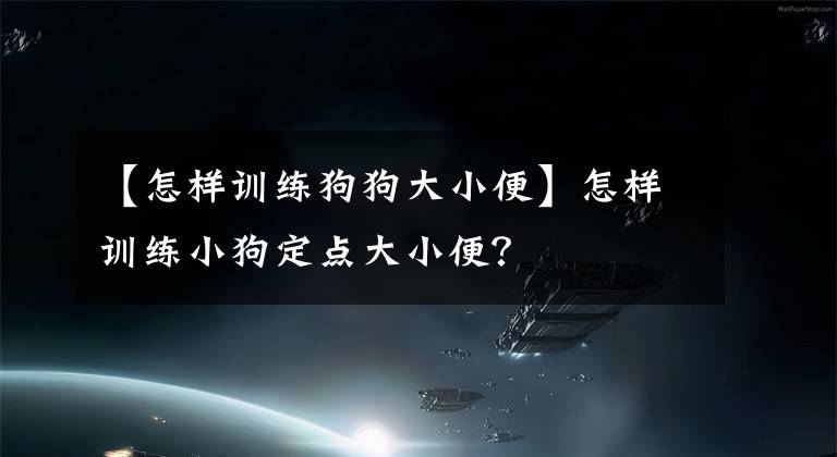 【怎樣訓(xùn)練狗狗大小便】怎樣訓(xùn)練小狗定點大小便？