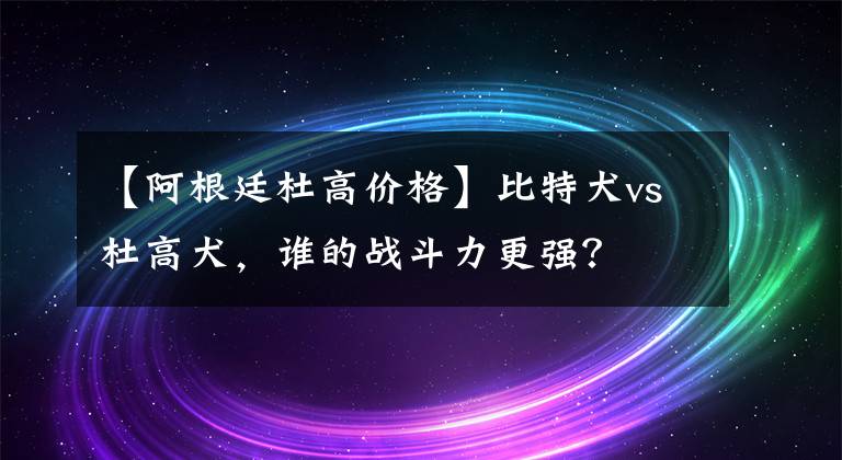 【阿根廷杜高價(jià)格】比特犬vs杜高犬，誰的戰(zhàn)斗力更強(qiáng)？