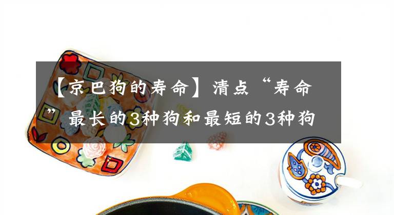 【京巴狗的壽命】清點“壽命”最長的3種狗和最短的3種狗，你家在其中嗎？