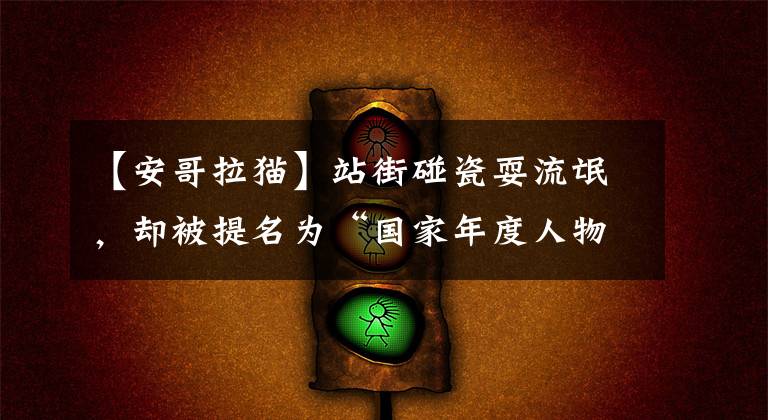 【安哥拉貓】站街碰瓷耍流氓，卻被提名為“國家年度人物”，這只貓好厲害啊