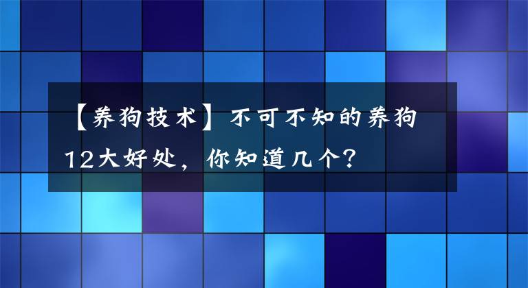 【養(yǎng)狗技術(shù)】不可不知的養(yǎng)狗12大好處，你知道幾個？