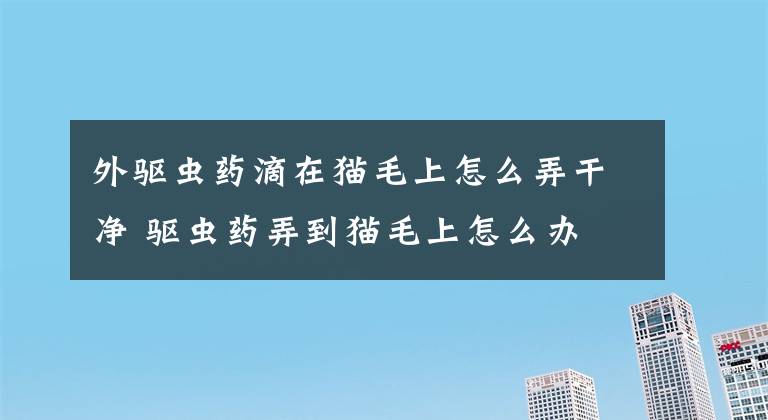 外驅(qū)蟲藥滴在貓毛上怎么弄干凈 驅(qū)蟲藥弄到貓毛上怎么辦