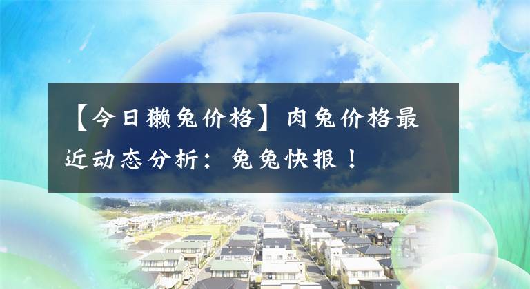 【今日獺兔價格】肉兔價格最近動態(tài)分析：兔兔快報！