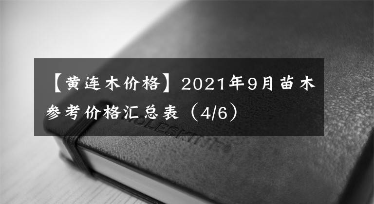 【黃連木價(jià)格】2021年9月苗木參考價(jià)格匯總表（4/6）