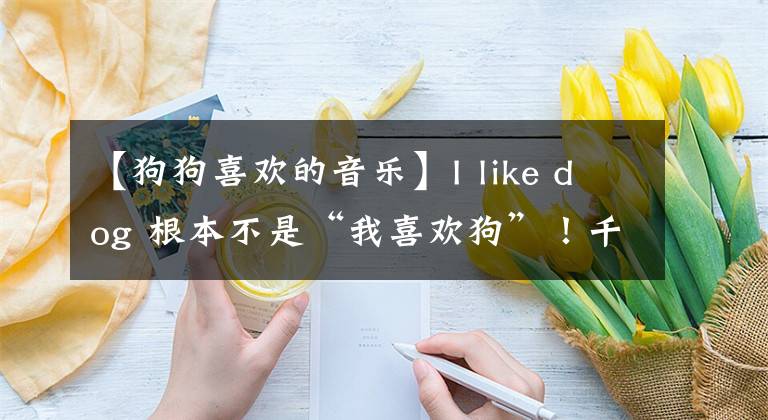 【狗狗喜歡的音樂】I like dog 根本不是“我喜歡狗”！千萬別搞錯了