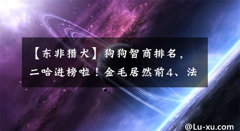 【東非獵犬】狗狗智商排名，二哈進榜啦！金毛居然前4、法斗卻是50開外