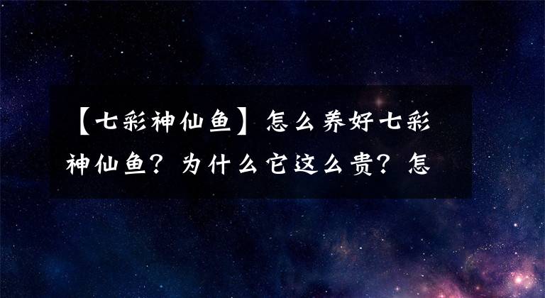 【七彩神仙魚】怎么養(yǎng)好七彩神仙魚？為什么它這么貴？怎么挑選七彩神仙魚