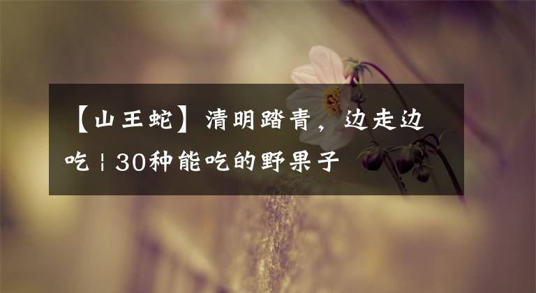 【山王蛇】清明踏青，邊走邊吃 | 30種能吃的野果子