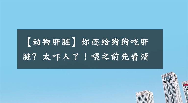 【動(dòng)物肝臟】你還給狗狗吃肝臟？太嚇人了！喂之前先看清楚，是愛它還是害它吧