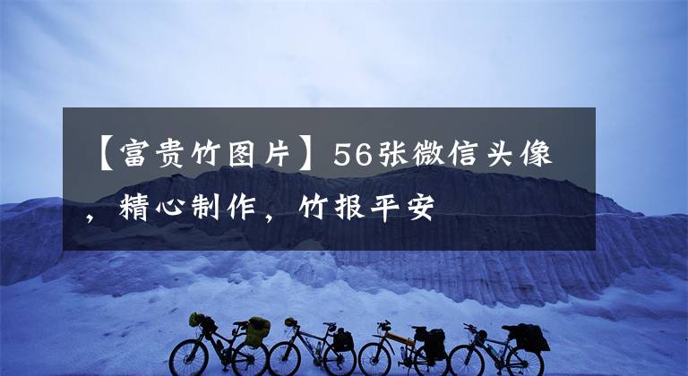 【富貴竹圖片】56張微信頭像，精心制作，竹報(bào)平安