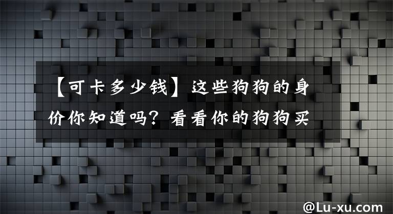 【可卡多少錢(qián)】這些狗狗的身價(jià)你知道嗎？看看你的狗狗買(mǎi)的值不值