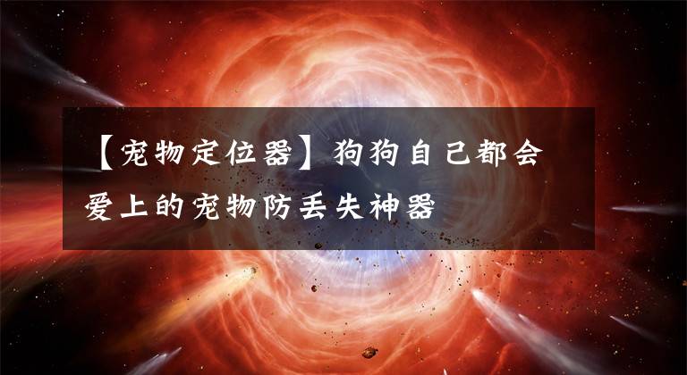 【寵物定位器】狗狗自己都會愛上的寵物防丟失神器