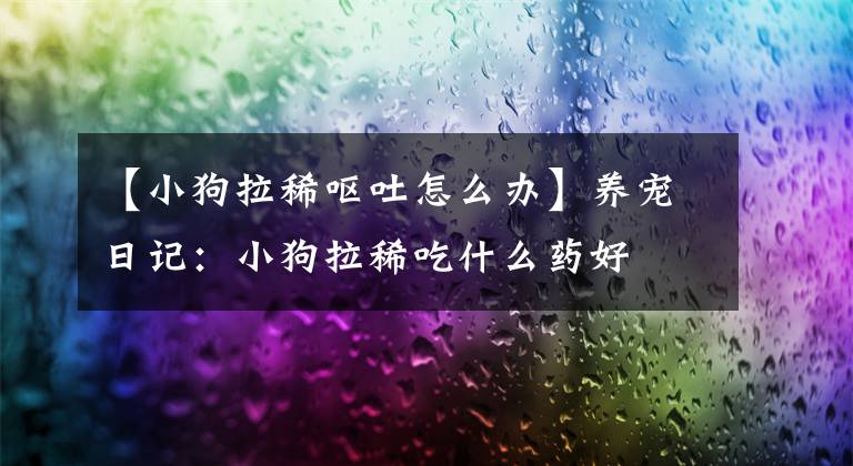 【小狗拉稀嘔吐怎么辦】養(yǎng)寵日記：小狗拉稀吃什么藥好