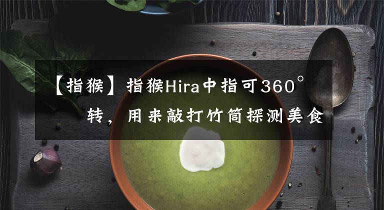 【指猴】指猴Hira中指可360°旋轉(zhuǎn)，用來敲打竹筒探測美食