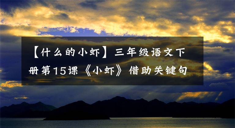 【什么的小蝦】三年級語文下冊第15課《小蝦》借助關(guān)鍵句概括段意