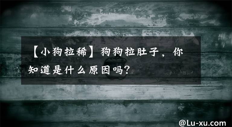 【小狗拉稀】狗狗拉肚子，你知道是什么原因嗎？