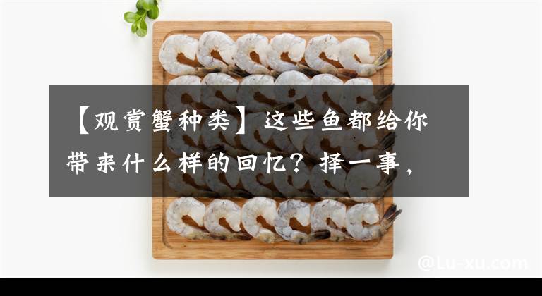 【觀賞蟹種類】這些魚都給你帶來(lái)什么樣的回憶？擇一事，待一生