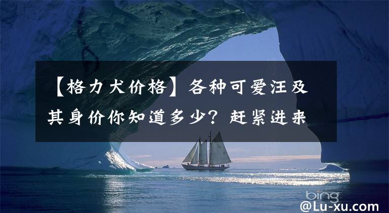 【格力犬價格】各種可愛汪及其身價你知道多少？趕緊進來腦補一下吧~