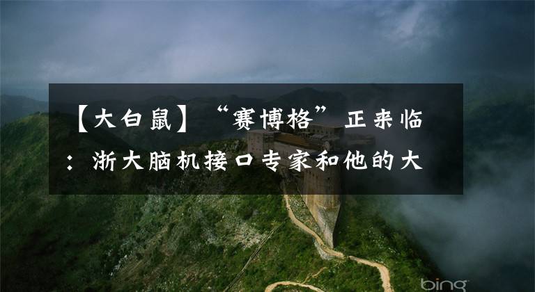 【大白鼠】“賽博格”正來(lái)臨：浙大腦機(jī)接口專家和他的大鼠X戰(zhàn)警軍團(tuán)