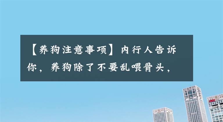 【養(yǎng)狗注意事項】內(nèi)行人告訴你，養(yǎng)狗除了不要亂喂骨頭，還有4點值得注意