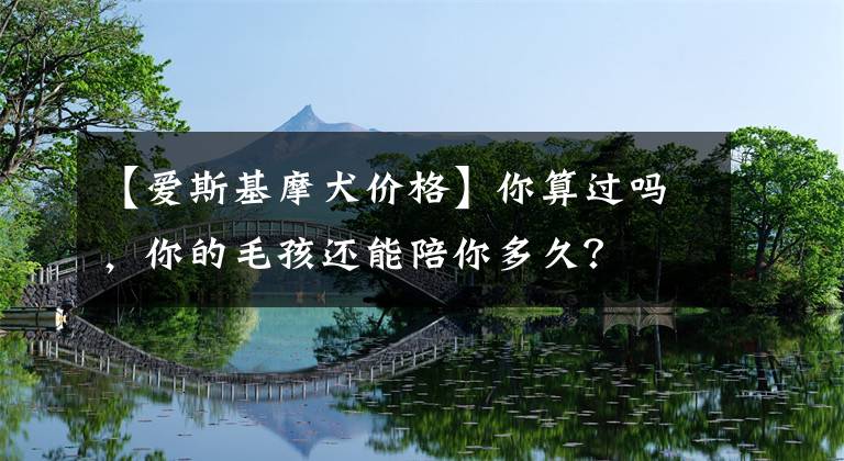 【愛(ài)斯基摩犬價(jià)格】你算過(guò)嗎，你的毛孩還能陪你多久？