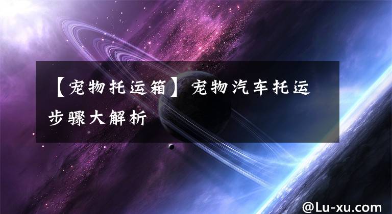 【寵物托運箱】寵物汽車托運步驟大解析