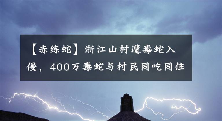 【赤練蛇】浙江山村遭毒蛇入侵，400萬毒蛇與村民同吃同住，為何蛇不傷人？