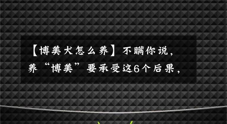 【博美犬怎么養(yǎng)】不瞞你說，養(yǎng)“博美”要承受這6個后果，很多人受不了