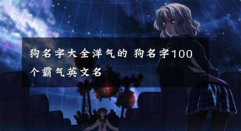 狗名字大全洋氣的 狗名字100個霸氣英文名