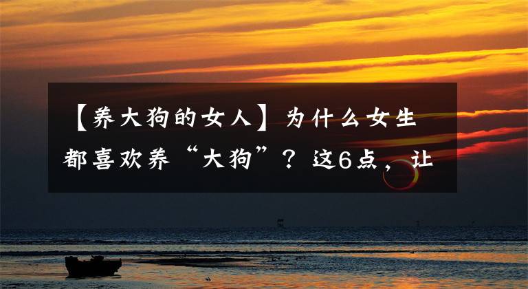 【養(yǎng)大狗的女人】為什么女生都喜歡養(yǎng)“大狗”？這6點，讓人無法抗拒