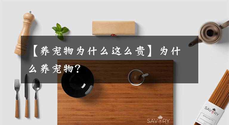 【養(yǎng)寵物為什么這么貴】為什么養(yǎng)寵物？