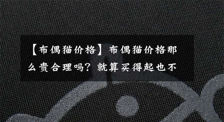 【布偶貓價格】布偶貓價格那么貴合理嗎？就算買得起也不一定適合養(yǎng)