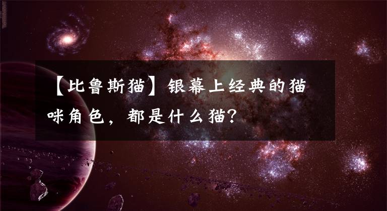 【比魯斯貓】銀幕上經(jīng)典的貓咪角色，都是什么貓？