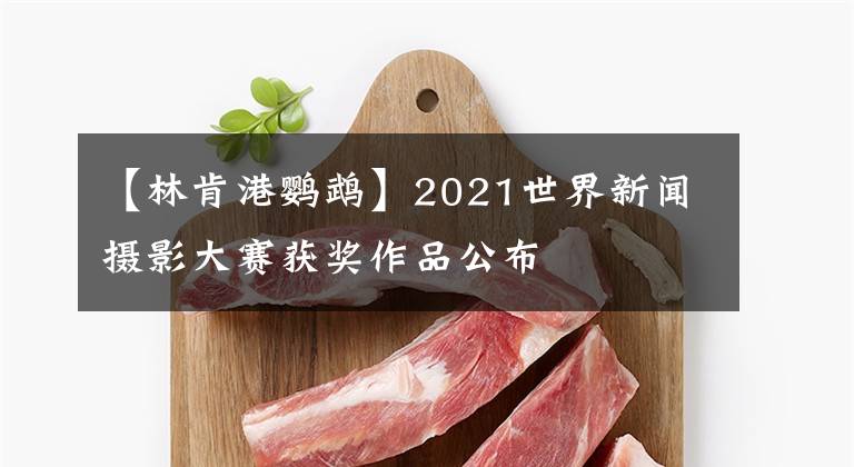 【林肯港鸚鵡】2021世界新聞攝影大賽獲獎作品公布