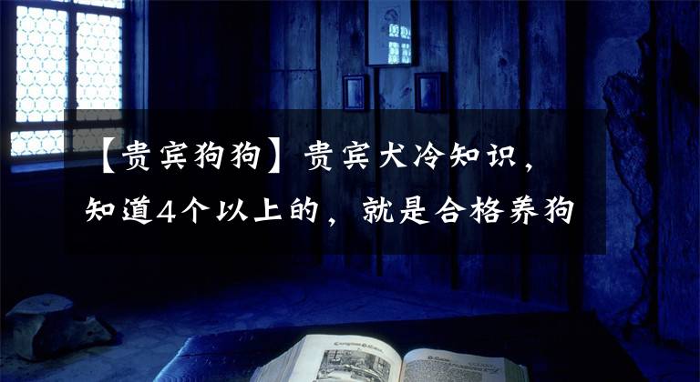 【貴賓狗狗】貴賓犬冷知識(shí)，知道4個(gè)以上的，就是合格養(yǎng)狗人