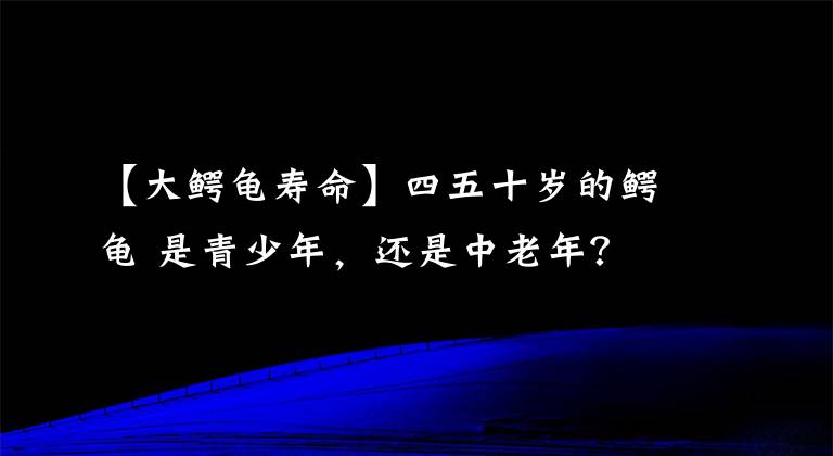 【大鱷龜壽命】四五十歲的鱷龜 是青少年，還是中老年？